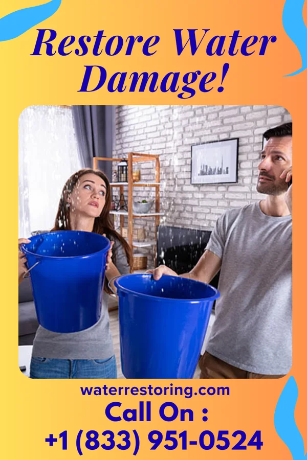 water restoration Superior Damage Recovery LLC Wilmar