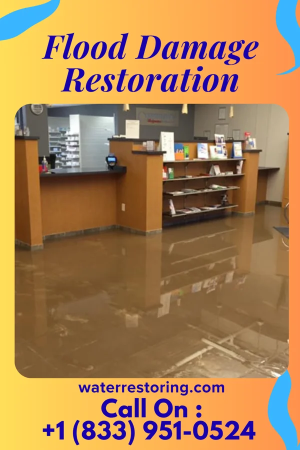 Flood Damage Restoration in Wilmar, AR